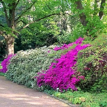 מלון Congress Am Stadtpark 4*