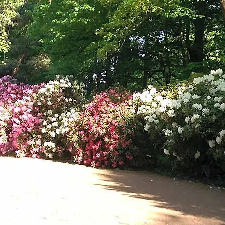 Congress Am Stadtpark מלון הנובר