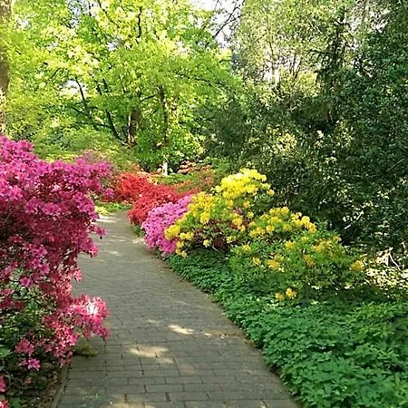מלון Congress Am Stadtpark הנובר