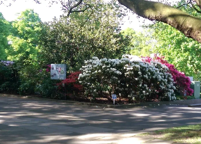 Congress Am Stadtpark 4*