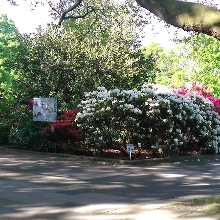 Congress Am Stadtpark 4*